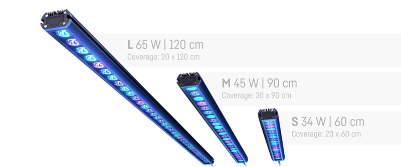 Reef Flare Bars-2