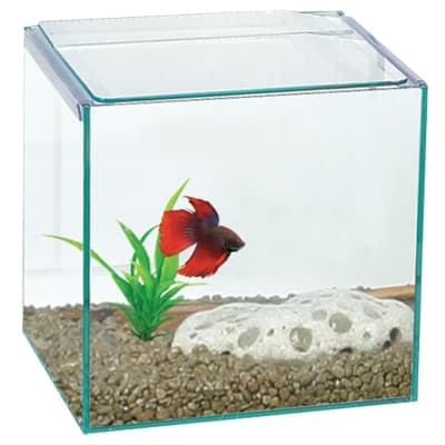 Betta Cube Square Glass Tank 16x16x16cm-1