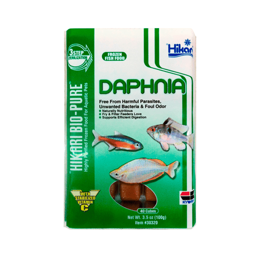 Hikari Daphnia 100g - 40 Cubes-1