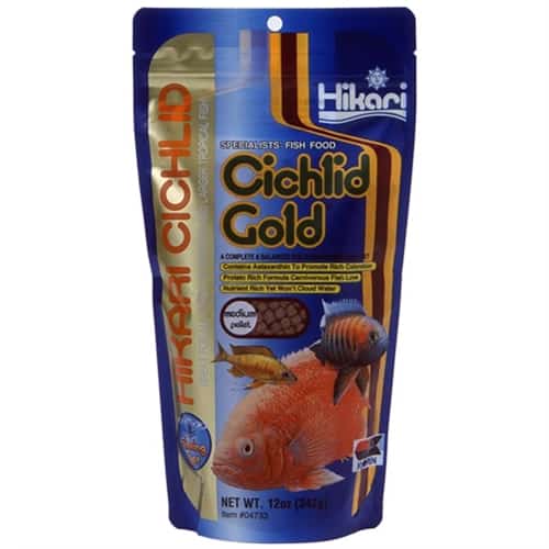 Sinking Cichlid Gold