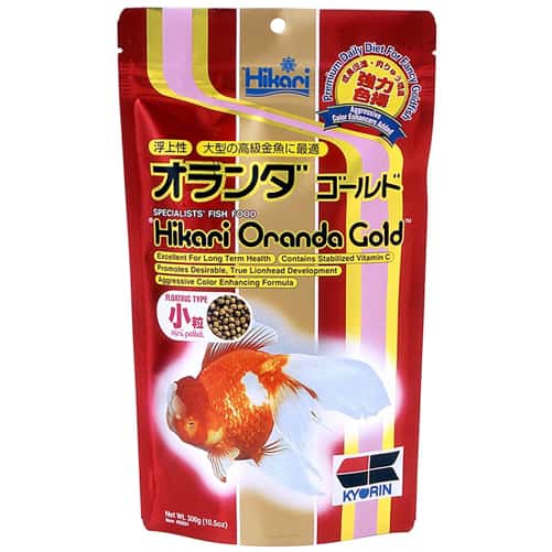 Hikari Oranda Gold Mini