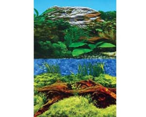 Background 48cm X 1m Age Old Wood & Plant W White Stone Double Fresh (Per Meter)-1