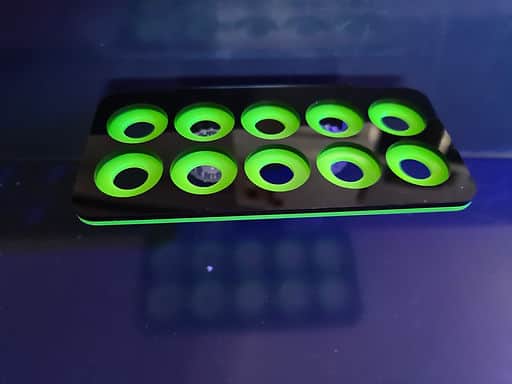 10 Hole Frag Rack Black-Neon Green-1