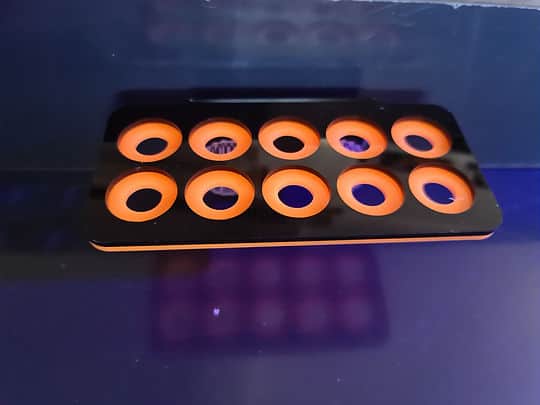 10 Hole Frag Rack Black-Neon Orange