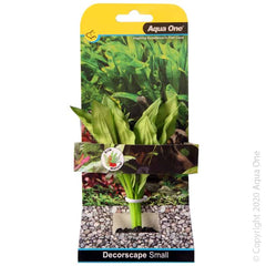 Silk Plant Amazon Broad Leaf Sm-1