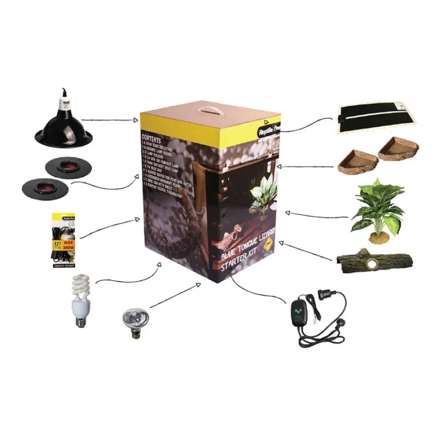 Reptile One Blue Tongue Starter Kit Accessory Pack In A Box