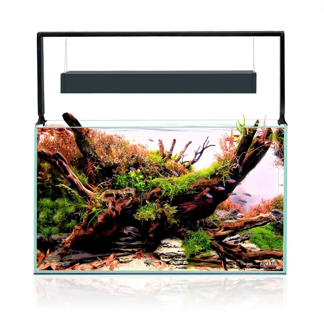 Aquael Ultrascape 60 Forrest Aquarium-2