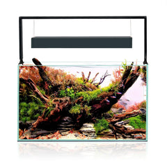 Aquael Ultrascape 60 Forrest Aquarium-2