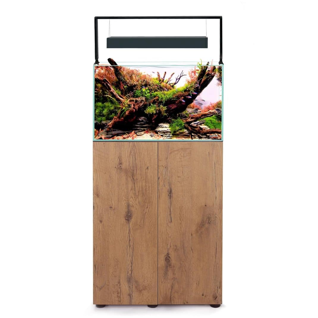 Aquael Ultrascape 60 Forrest Aquarium-5