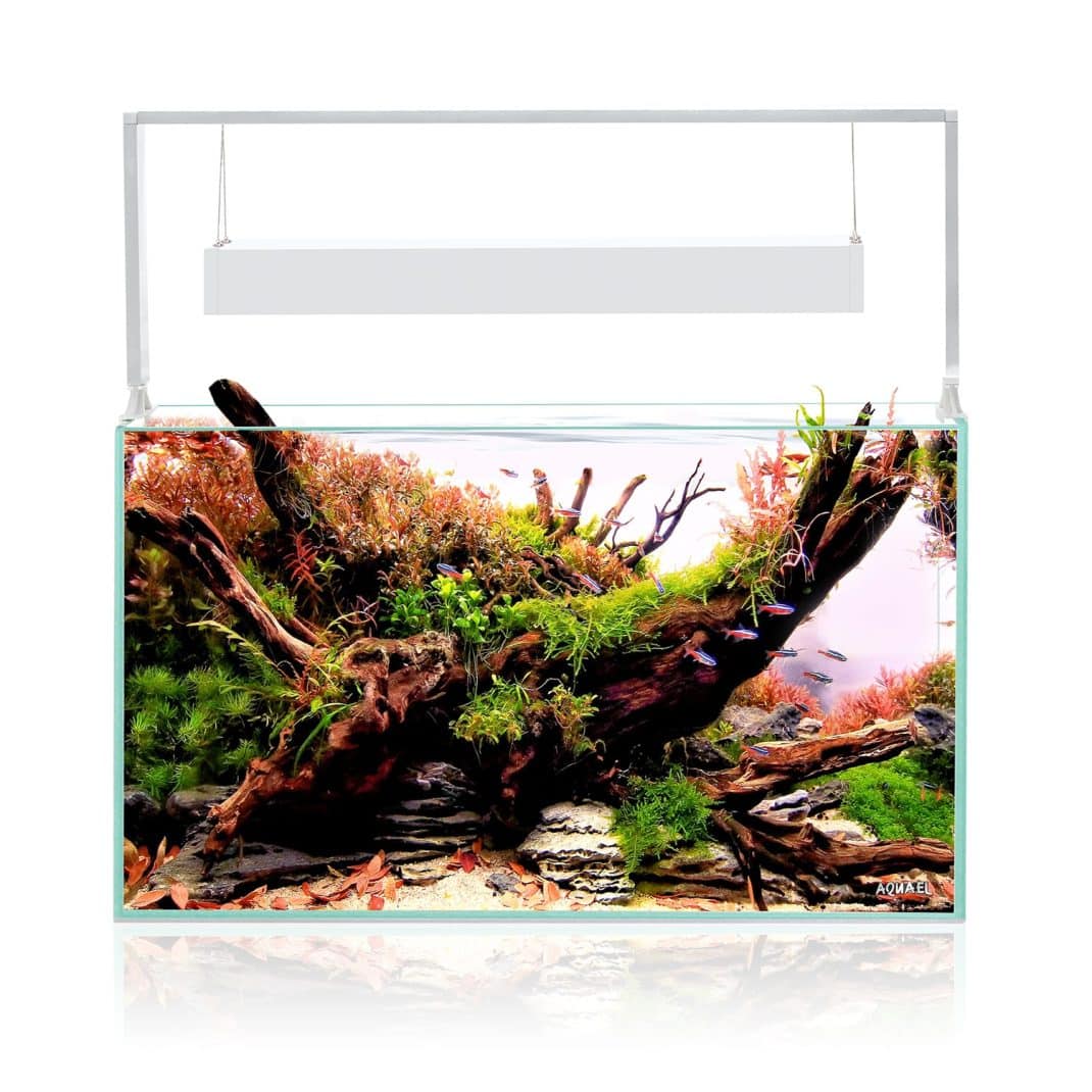 Aquael Ultrascape 60 Snow Aquarium-2