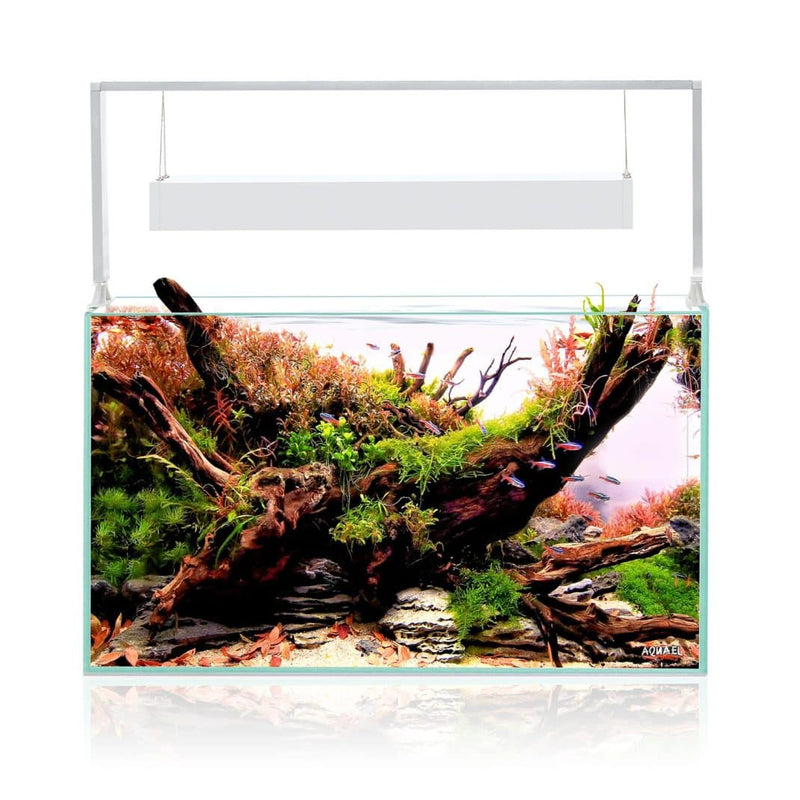 Aquael Ultrascape 60 Snow Aquarium-2