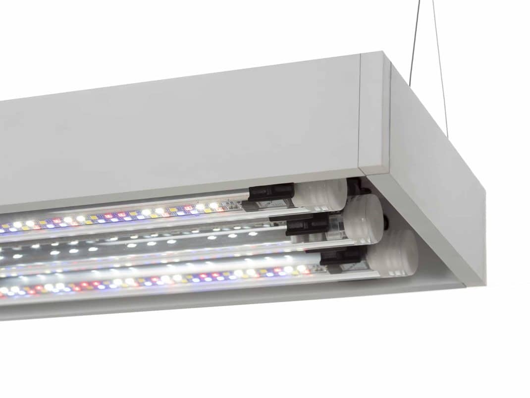 Aquael Ultrascape 60 Snow Aquarium-8