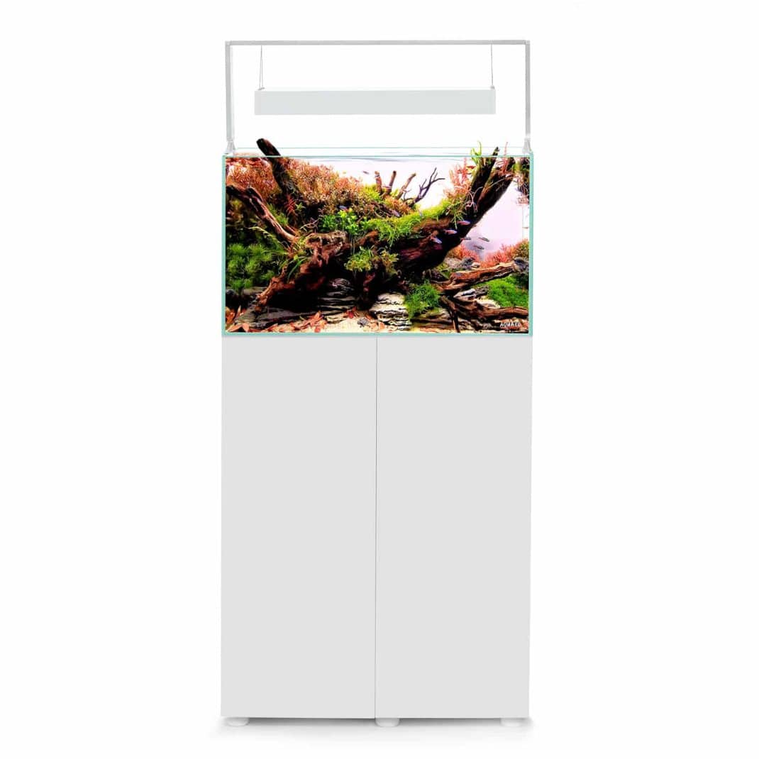 Aquael Ultrascape 60 Snow Aquarium-4