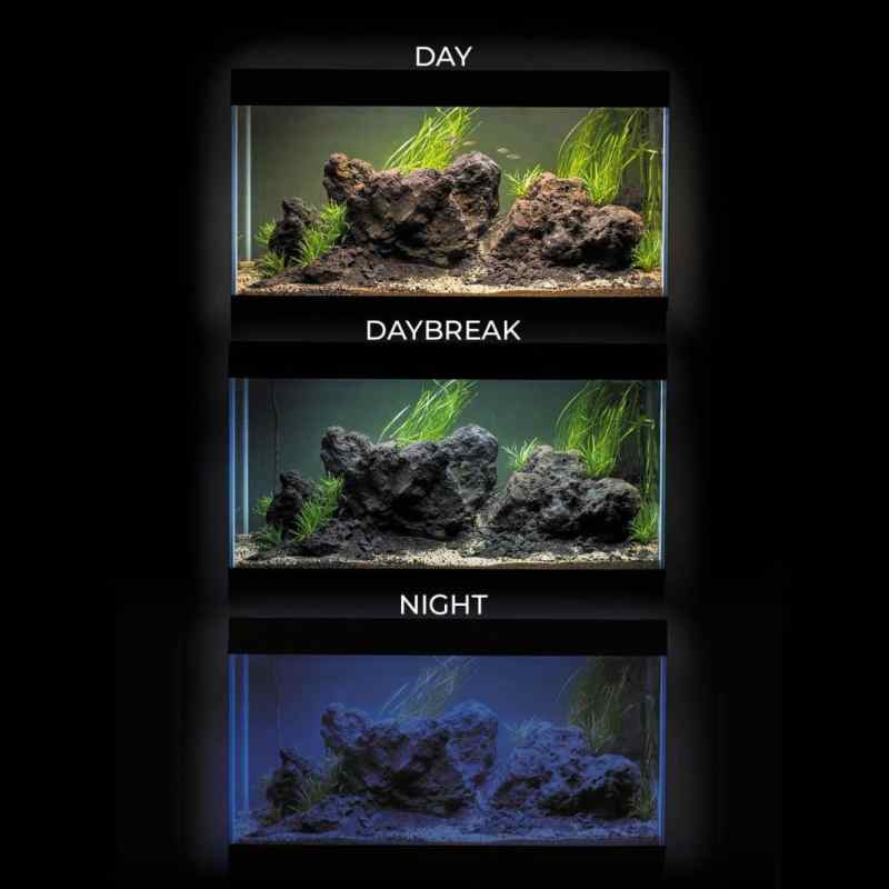 Aquael Ultrascape 60 Snow Aquarium-10
