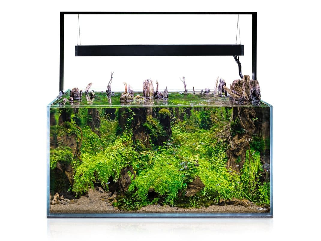 Aquael Ultrascape 90 Forrest Aquarium-2
