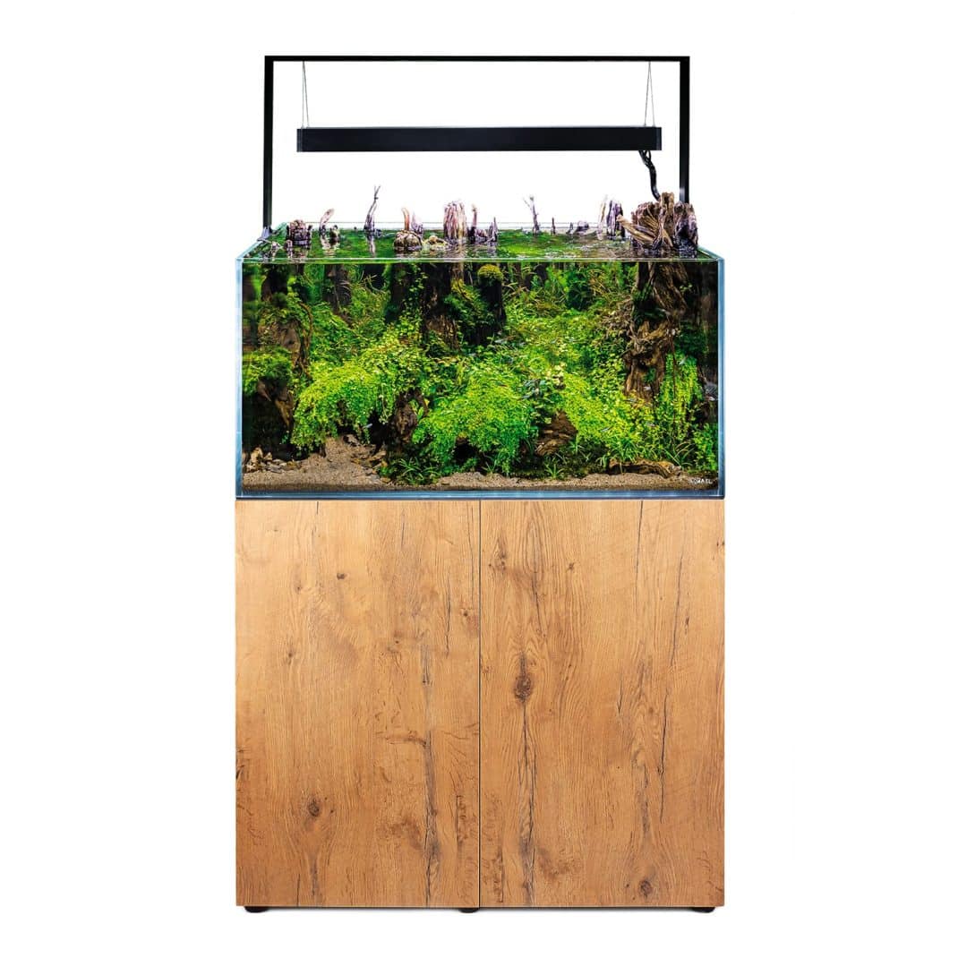 Aquael Ultrascape 90 Forrest Aquarium-4