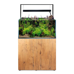 Aquael Ultrascape 90 Forrest Aquarium-4