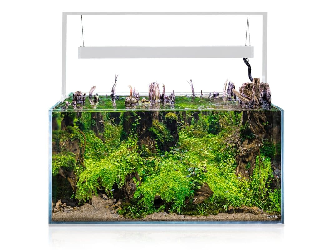 Aquael Ultrascape 90 Snow Aquarium