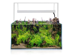 Aquael Ultrascape 90 Snow Aquarium-2