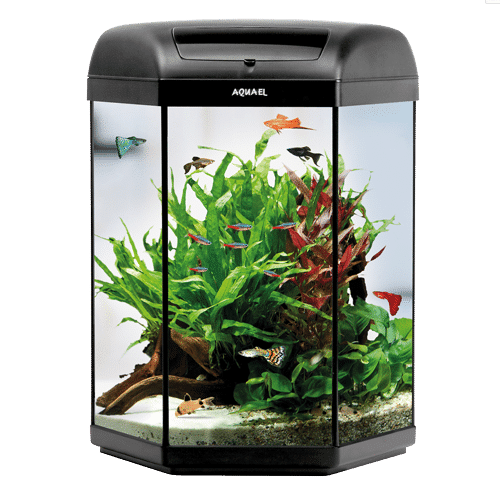 Aquael Hexa Set LT 60L Black Aquarium Set-1