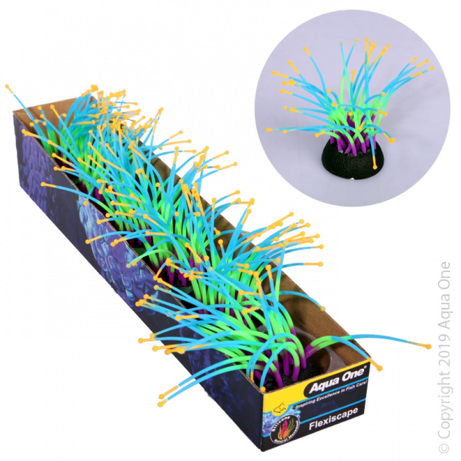Flexiscape Anemone 6pk-1