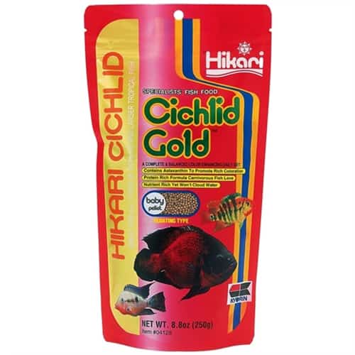 Hikari Cichlid Gold-1