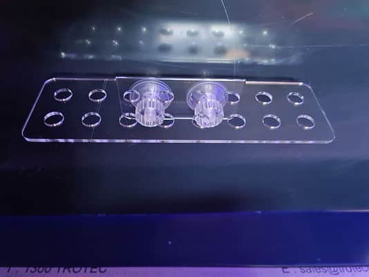 16 Hole Frag Rack Clear-1
