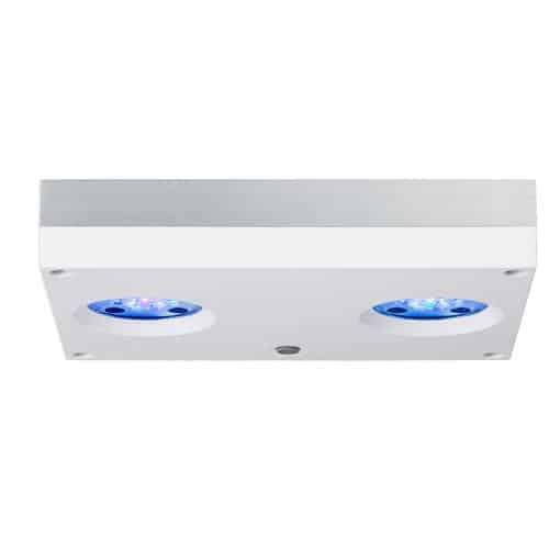 Hydra 32 HD White-1