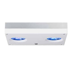 Hydra 32 HD White-1