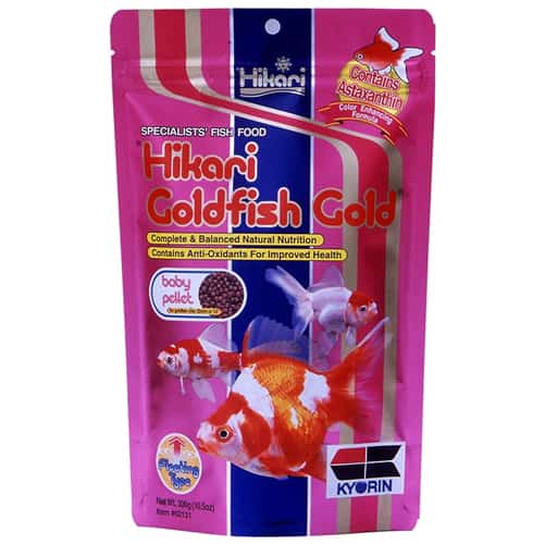 Hikari Goldfish Gold Baby