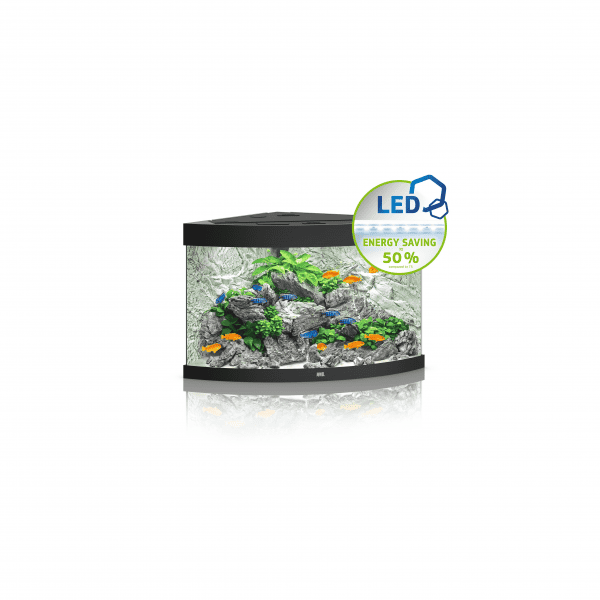 Juwel Trigon 190 LED Aquarium Black