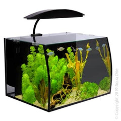 Arc 30 Glass Aquarium 30L 40L X 32.5D X 28cm H-1