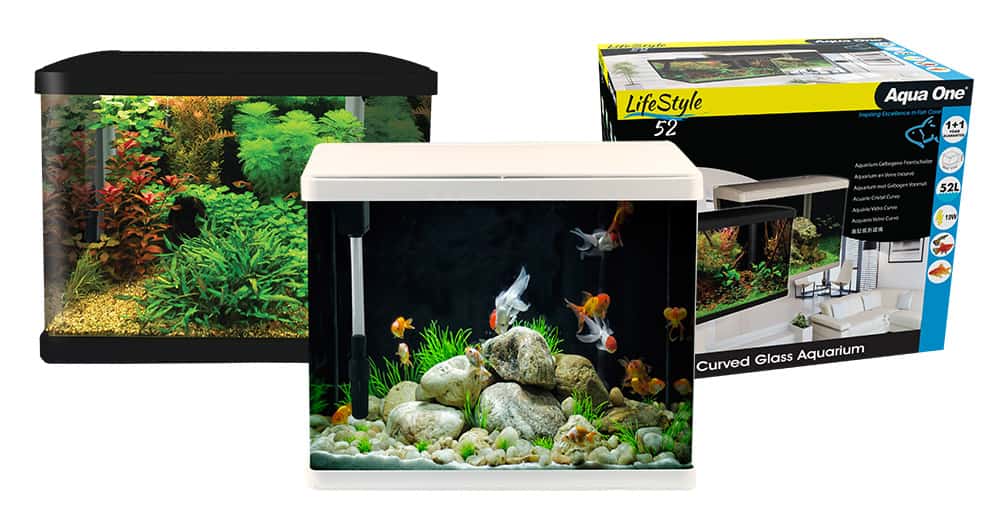 LifeStyle 52 Complete Glass Aquarium