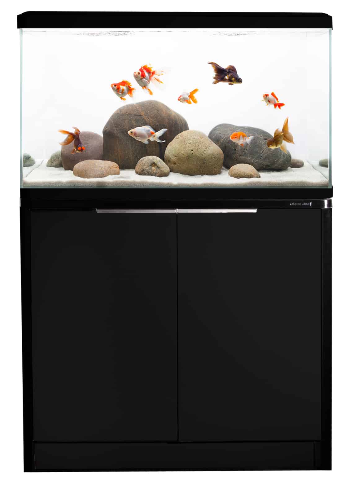 LifeStyle 76 Complete Glass Aquarium