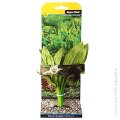 Silk Plant Amazon Broad Leaf Md-1