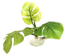 Ornament Betta Hammock Green Plant 10cm-1