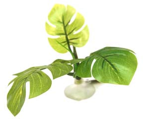 Ornament Betta Hammock Green Plant 10cm