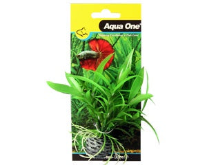 Bettascape Sunreacher Lily On Sphere Green-1