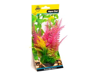 Ecoscape Medium Liquorice Fern/Fern Pink-1