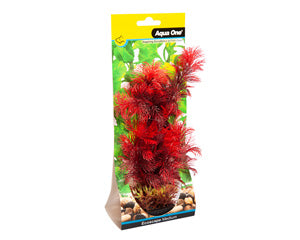 Ecoscape Medium Cabomba Red