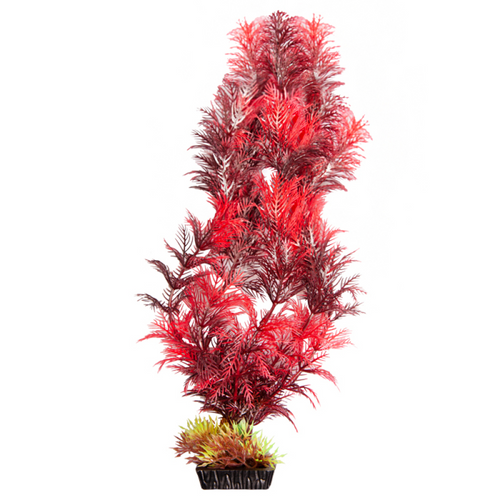 Ecoscape Xlarge Cabomba Red-1