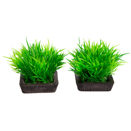 Ecoscape Foreground Hair Grass 2pk Green-1