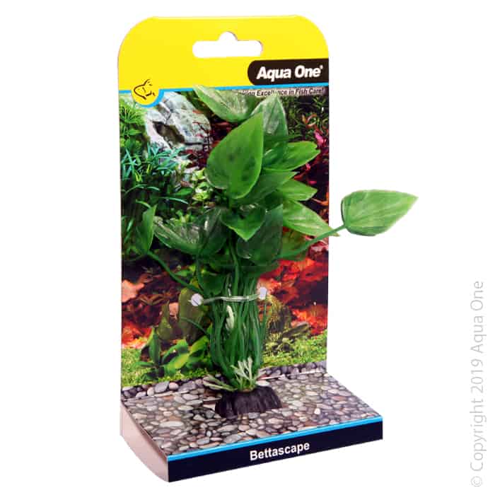 Bettascape Betta Lily Green-1
