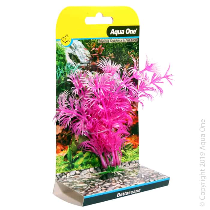 Bettascape Betta Ambulia Pink-1