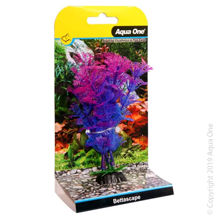 Bettascape Betta Ambulia Purple-1
