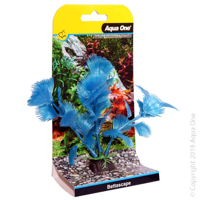 Bettascape Betta Fan Palm Blue-1