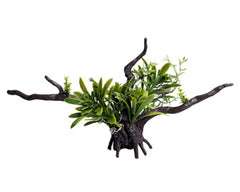 Ecoscape Bromealiad Driftwood Green-1