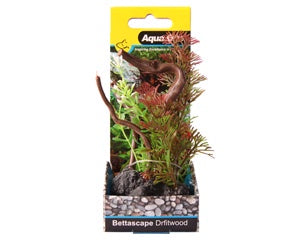Bettascape Mayaca Fern On Driftwood Green
