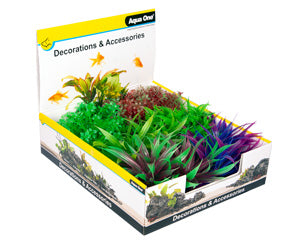 Vibrance Bushy Plant 10cm Mixed 12pk-1
