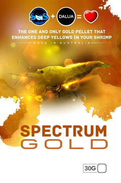 Spectrum Gold 30g-1